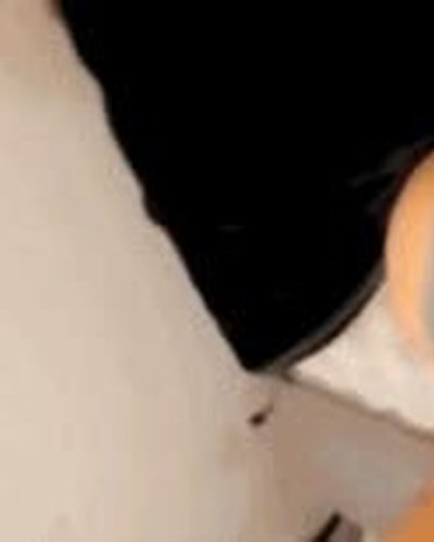 Слив Bhad Bhabie