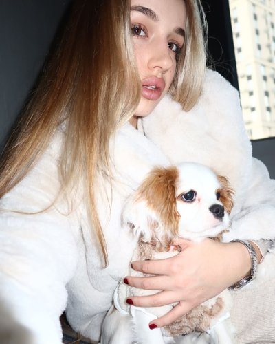 Слив Miss Dariali