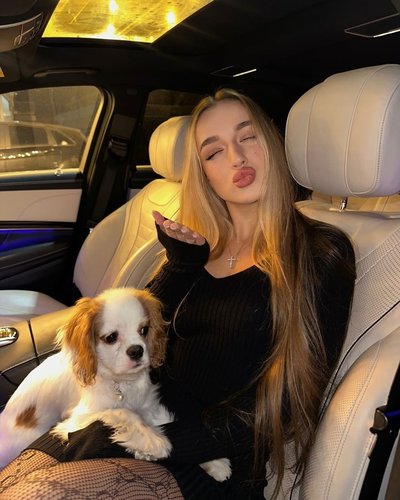 Слив Miss Dariali