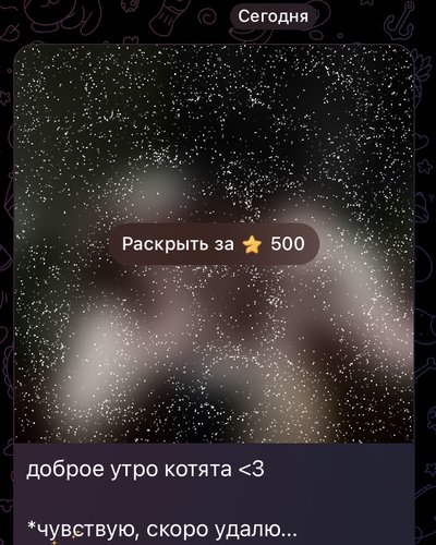 Слив Naughty Kitten