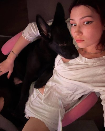 Слив Bonnie Petite