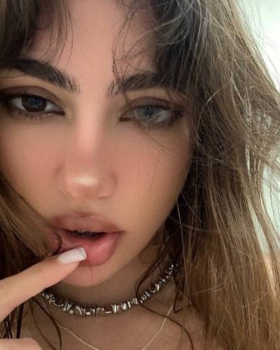 Слив Diana Rosca