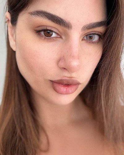 Слив Diana Rosca