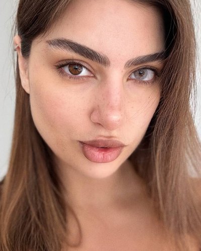 Слив Diana Rosca