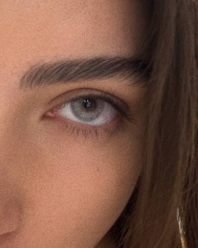 Слив Diana Rosca
