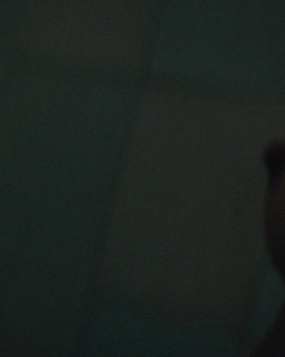 Слив Маргарет Куолли (Margaret Qualley)